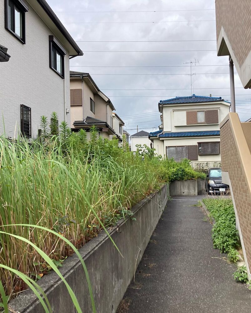 ブログ画像
