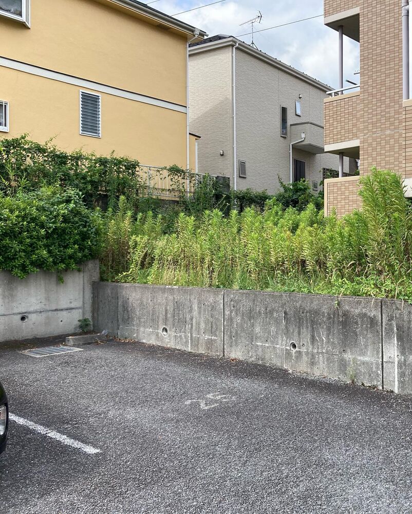 ブログ画像