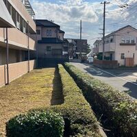 ブログ画像