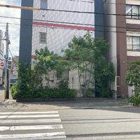 ブログ画像